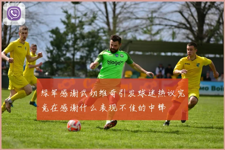 绿军感谢武切维奇引发球迷热议究竟在感谢什么表现不佳的中锋
